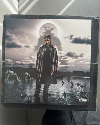 Juice WRLD fighting demons vinile