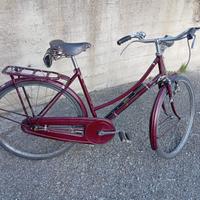 bicicletta raleigh da donna