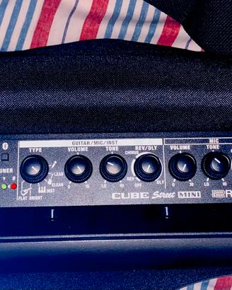 Amplificatore Roland Cube Street Mini con custodia