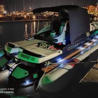 Phylum 33 gruppo mare