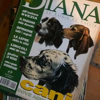 Riviste Caccia Diana Vintage