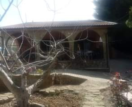 Terreno con casa