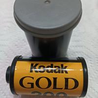 Kodak Gold 200 x 26 pose