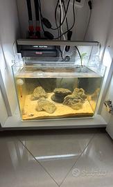 Acquario 15 litri