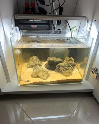 Acquario 15 litri