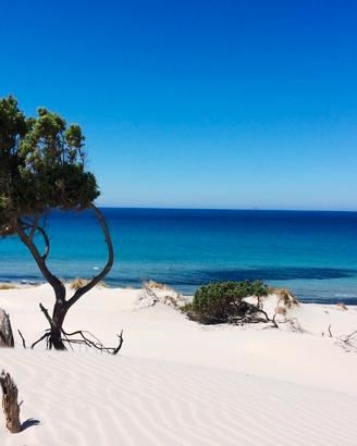 PORTO PINO - Villetta giardino e veranda