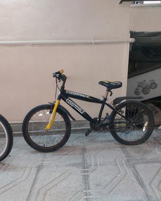 n. 3 bici