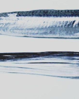 Lenza  CLASSICA per alletterati ,palamite,sgombri