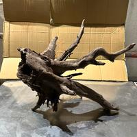 Radice di mangrovia XL per acquario