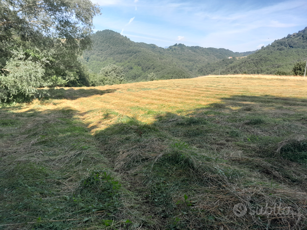 Rustico con terreno