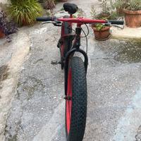 BICI USATA