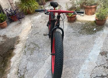 BICI USATA