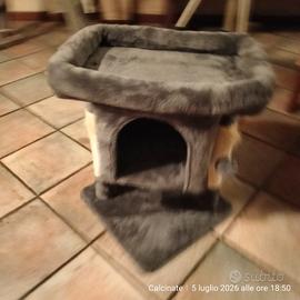 tiragraffi gatto