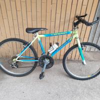BICICLETTA MOUNTAIN BIKE