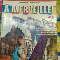 A merveille! 2, ISBN 9788861614710