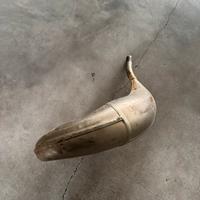 Pancia ktm 125 sx Originale