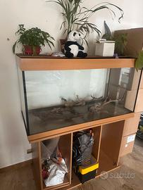 Acquario 400lt