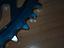 Immagine 5