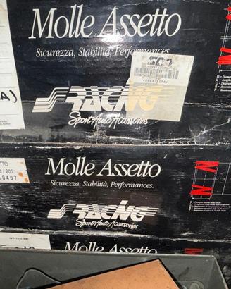 Molle assetto