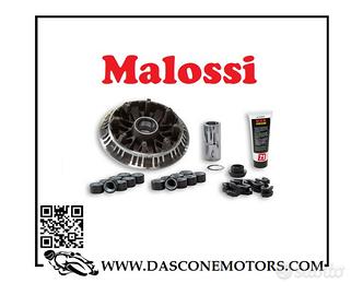 Variatore Malossi multivar mhr next tmax 530 2012 