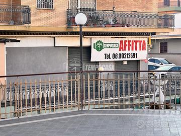 Negozio a Roma Via Nucetto 4 locali