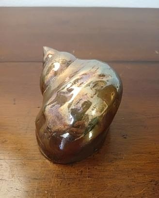 Conchiglia naturale vintage placcata argento 