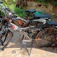 2 Bici Elettriche al prezzo di una !!!