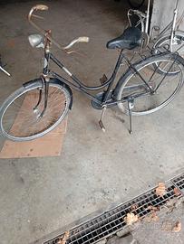 bici con freni a bacchetta e pieghevole 