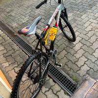 Bicicletta mountain bike