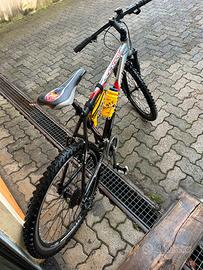 Bicicletta mountain bike