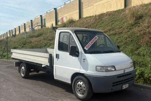 FIAT DUCATO CASSONE