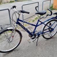 Bibici