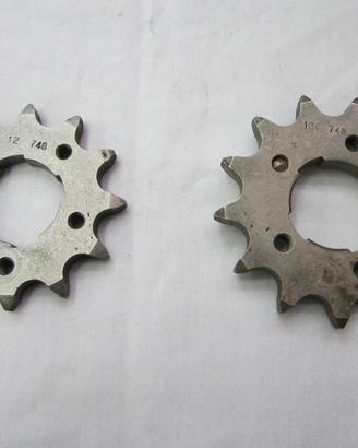 Pignone Catena Guzzi 500 Falcone