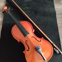 Violino 4/4 con archetto professionale