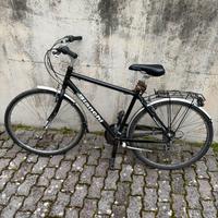 Bici da uomo