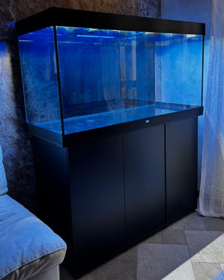 Acquario Juwel Rio 350 LED