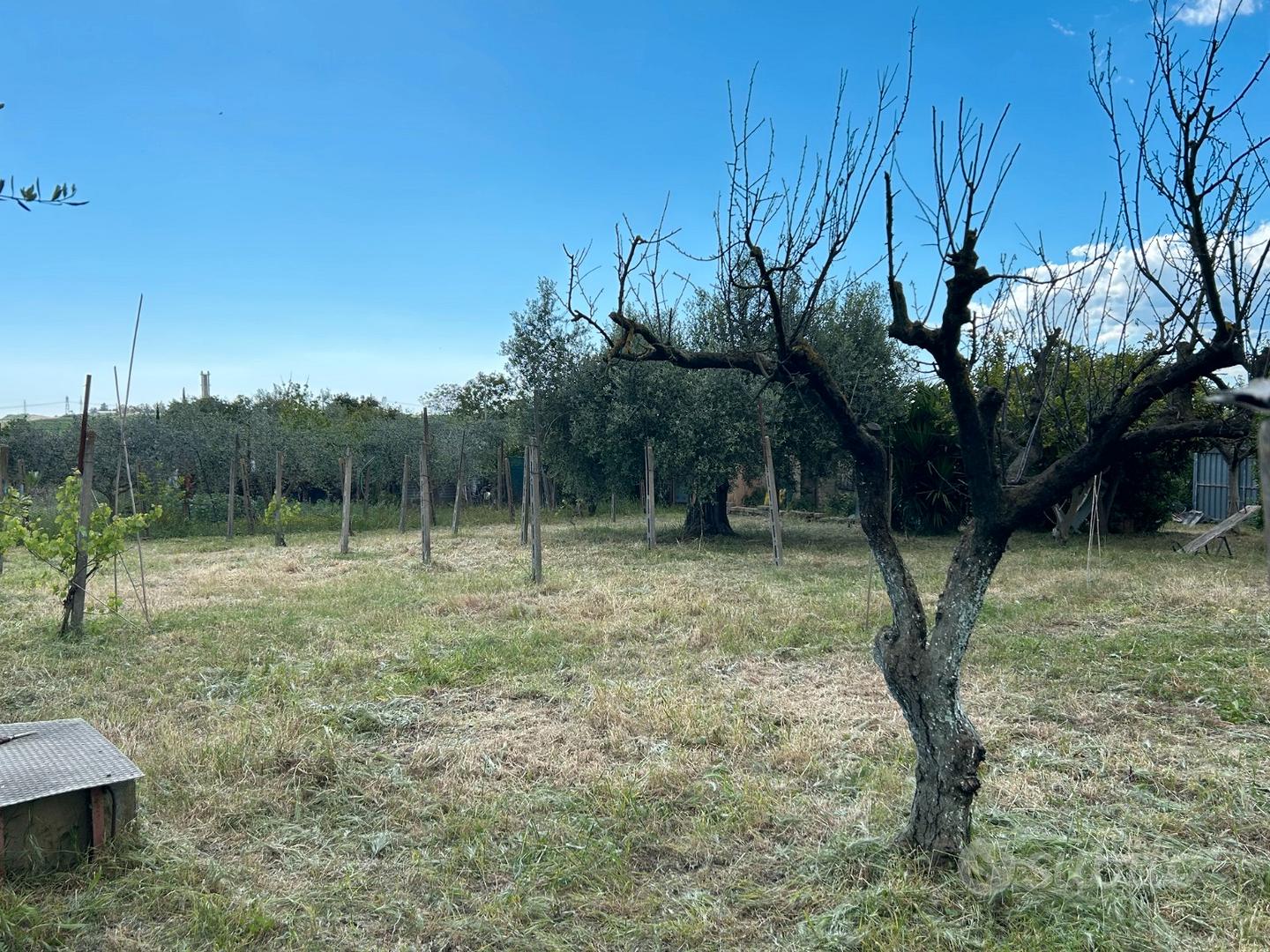 Vendita terreno zona pisana\regione lazio - Ansicht 5