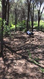 Terreno Santa Margherita