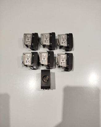 Frutti elettrici living light