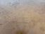 Immagine 15