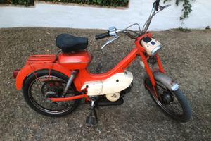 Motom. Daina matic 50