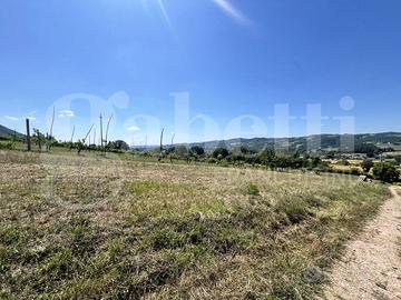 Terreno Agricolo Gubbio [Terr_agrLoreto9VCG]