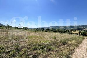 Terreno Agricolo Gubbio [Terr_agrLoreto9VCG]