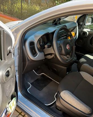 Fiat panda fiat 500