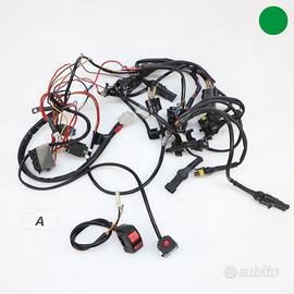 Impianto elettrico Racing BIMOTA DB6 EVO