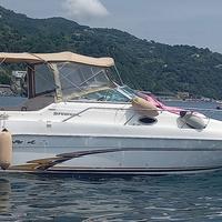 BARCA SEA RAY 250 SUNDENCER
