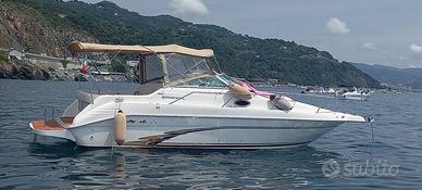 BARCA SEA RAY 250 SUNDENCER