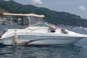 BARCA SEA RAY 250 SUNDENCER