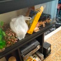 acquario completo di accessori 