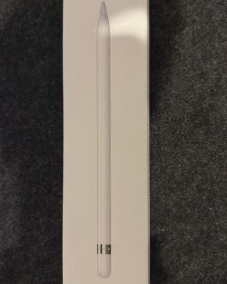 Apple Pencil 1ª Gen - Full Kit (Incluso USB-C)